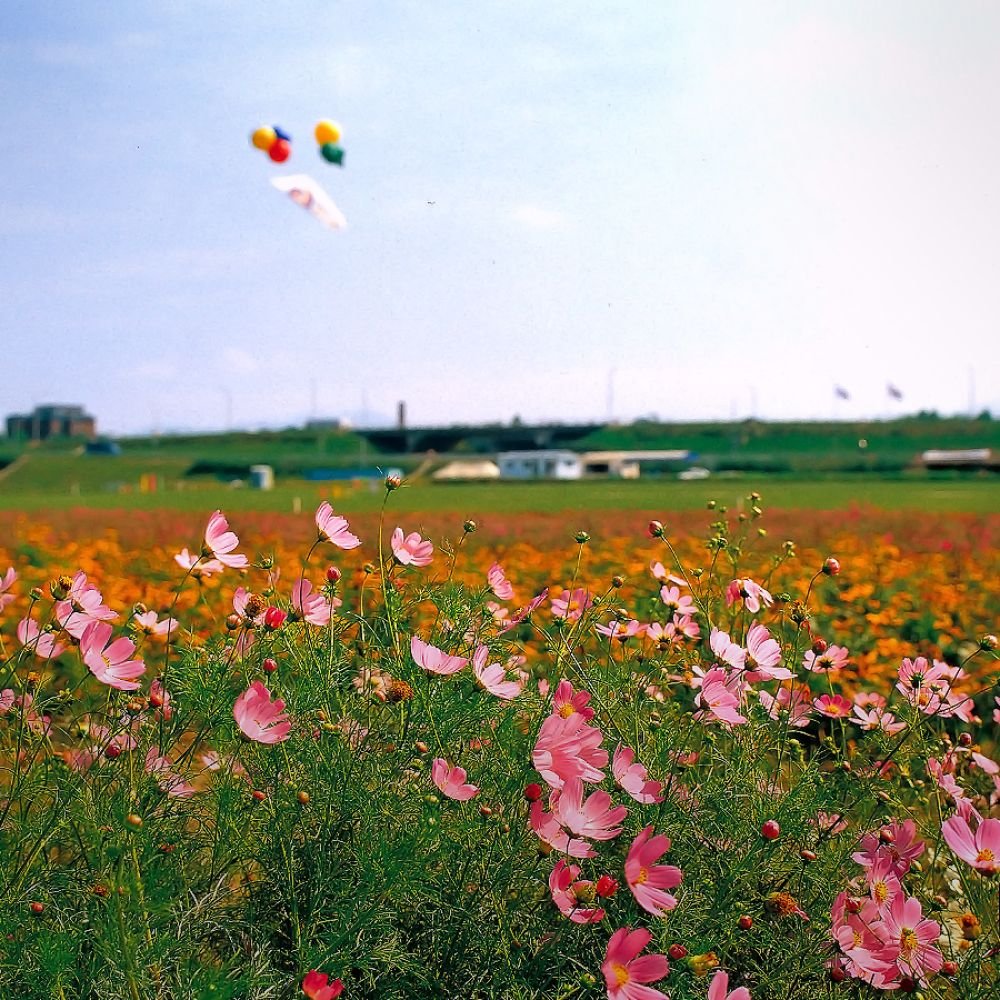 주변전경